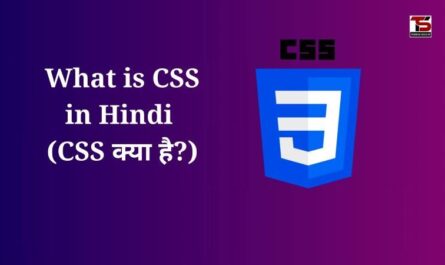 What is CSS in Hindi