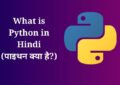 What is Python in Hindi