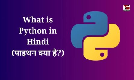 What is Python in Hindi