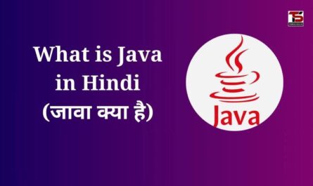 What is Java in Hindi