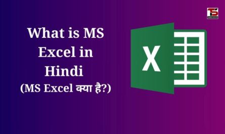 What is MS Excel in Hindi